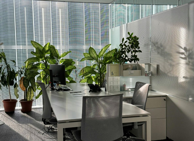 Office 4.jpg