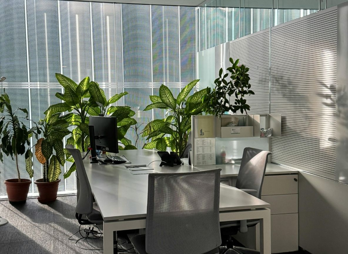 Office 4.jpg