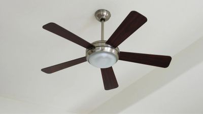 imgi_13_JAYs+Electric+Media+Solutions+LLC-Minimalist-Ceiling-Fan-2880w.jpg