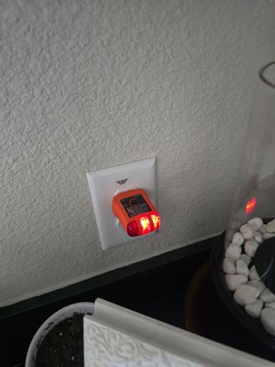 20250422_122933.jpg