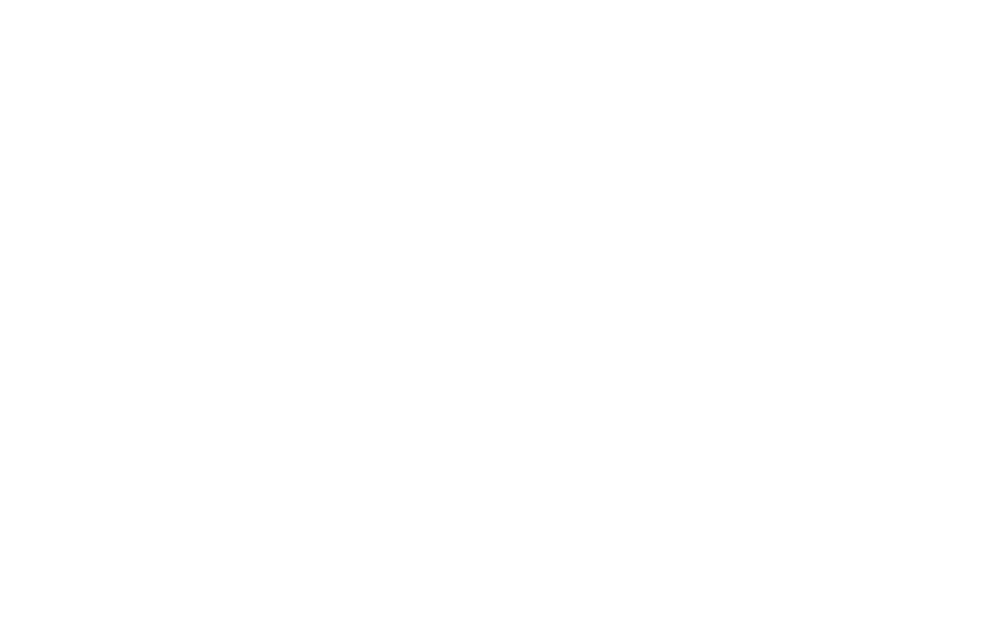 Enviromaxx Logo