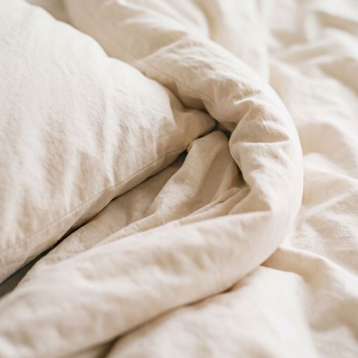 Bed Bugs PB Image 1.jpg