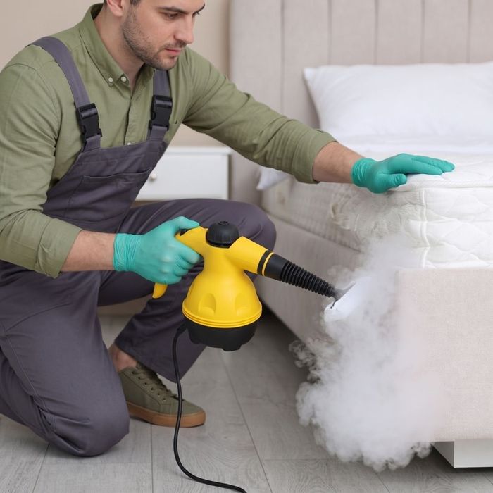 Bed Bugs PB Image 6.jpg