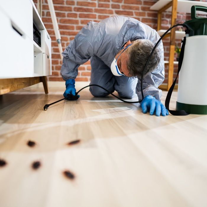 spraying for cockroaches