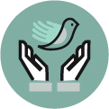 SoulJoy_M27947-Icons_ico1.png