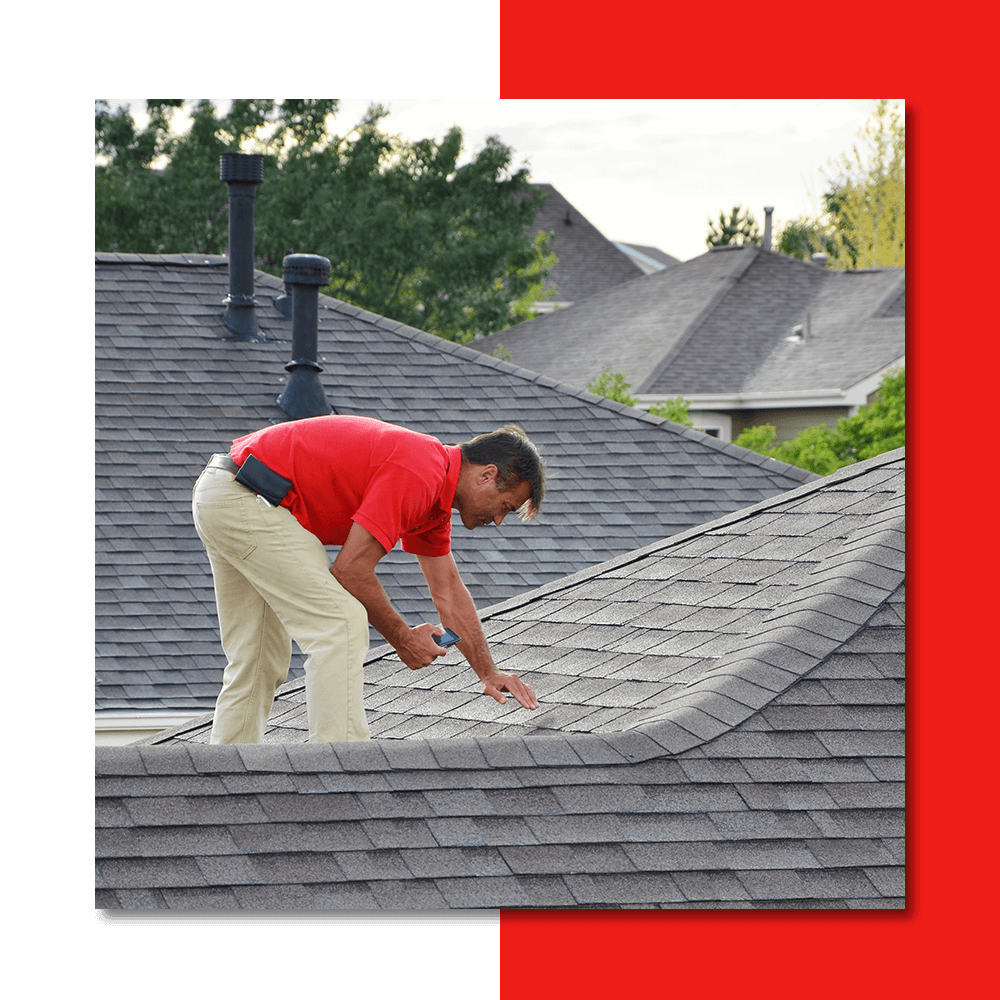 a professional inspecting a roof