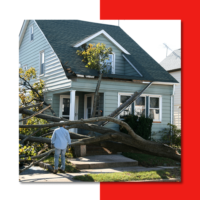 a tree fallen on a house with roof damage