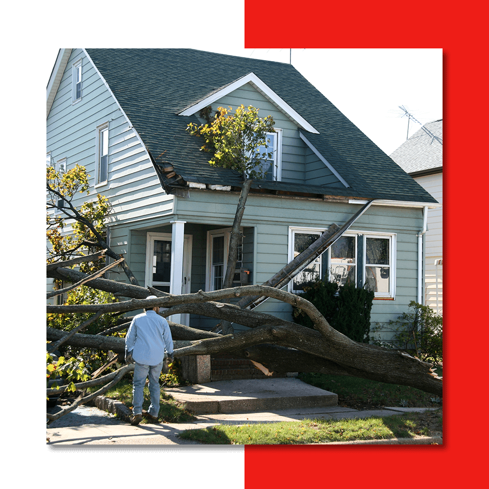 a tree fallen on a house with roof damage