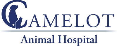 Camelot Animal Hospital