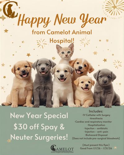 January Special 2026.jpg