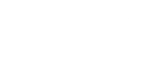 Holiday elect Package.png