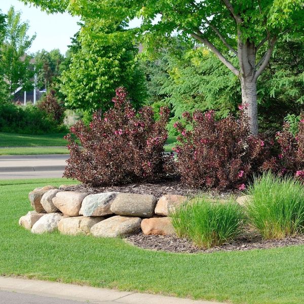Why Investing in Hardscaping is a Smart Move for Your Home.jpg