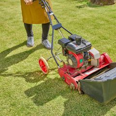person mowing a lawn