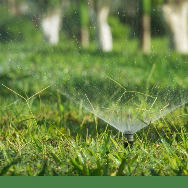 sprinkler system watering grass
