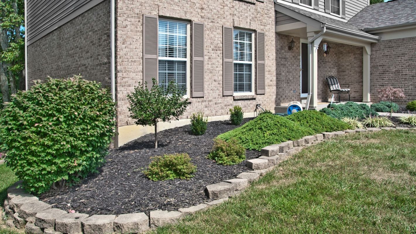 4 Ways Professional Landscaping Enhances Your Home's Beauty Hero.jpg
