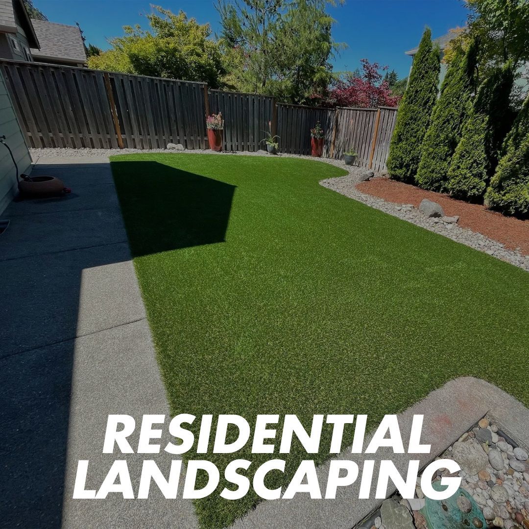 residential landscaping - a manicured lawn