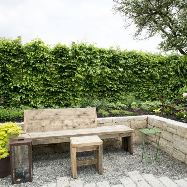 4 Ways Professional Landscaping Enhances Your Home's Beauty (3).jpg