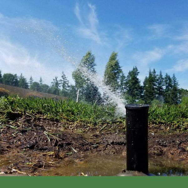 sprinkler sprinkler