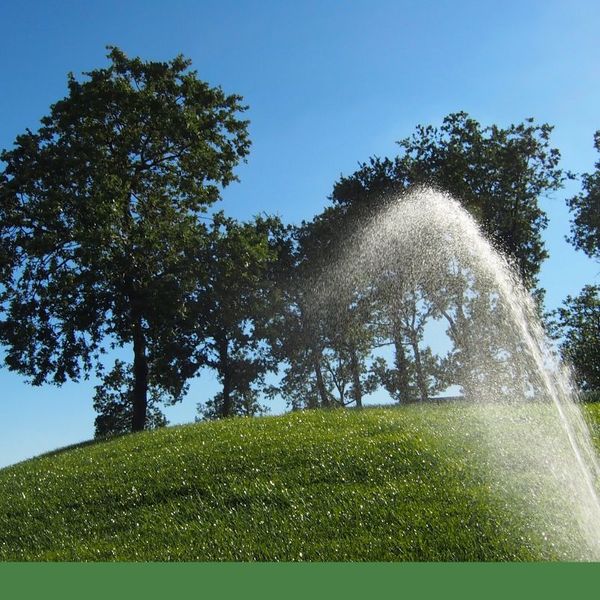 watering grass