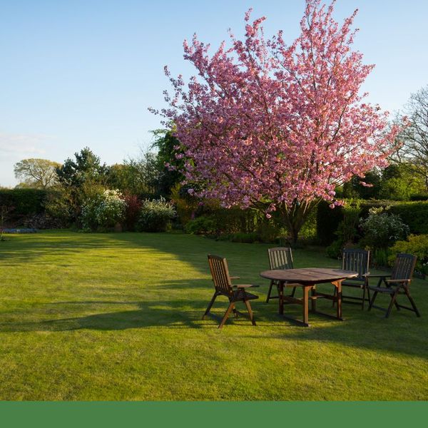 back yard with table 
