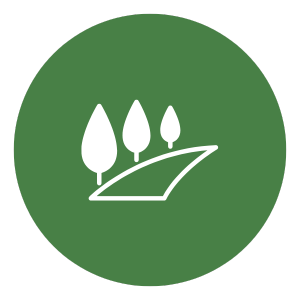 tree icon