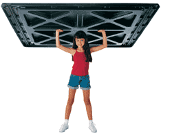 undercover_tonneau_cover_girl.gif
