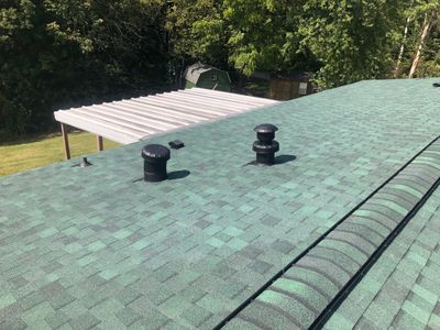 green shingle roof