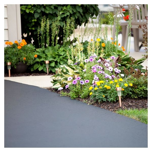 Asphalt path with colorful garden flowers alongside.