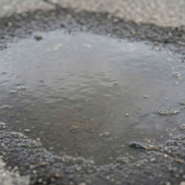 6 Warning Signs Your Pavement Needs Professional Maintenance - 4.jpg