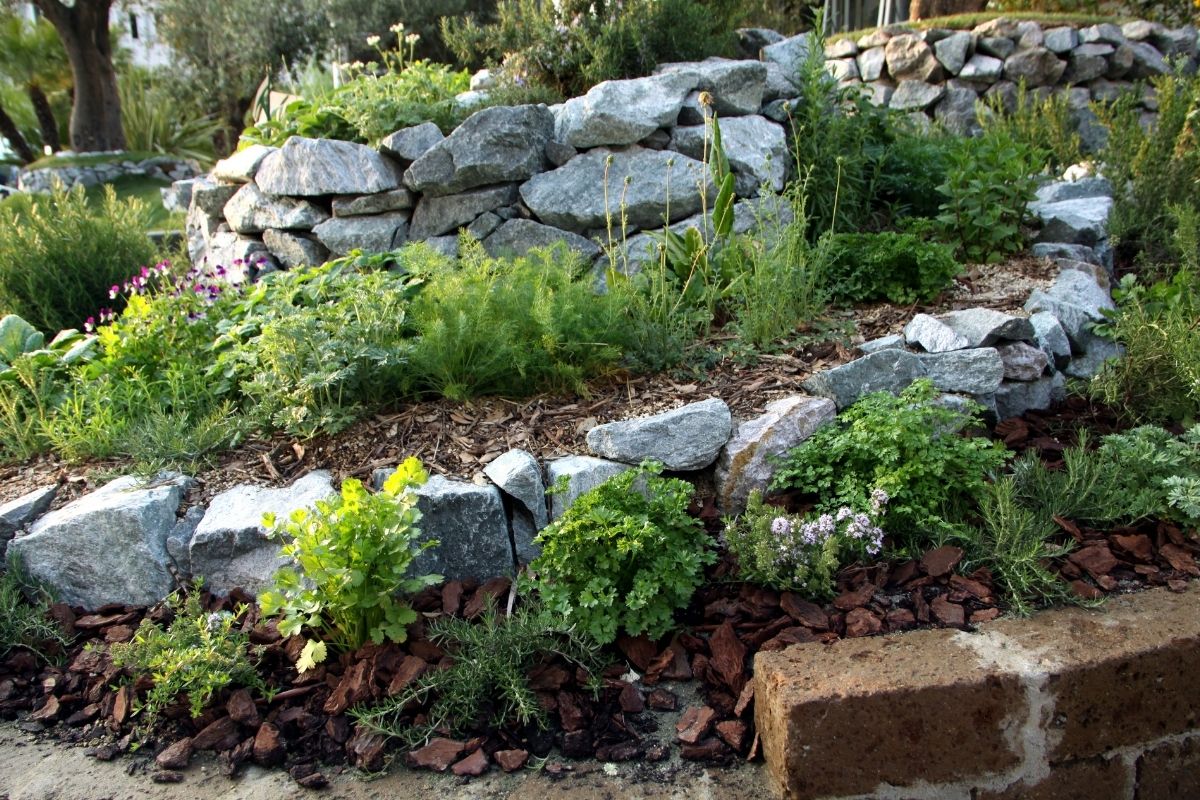 GARDEN DESIGN