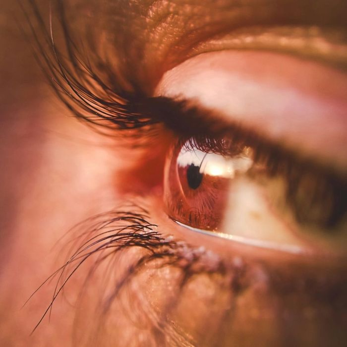 Close-up of human eye showing eyelashes