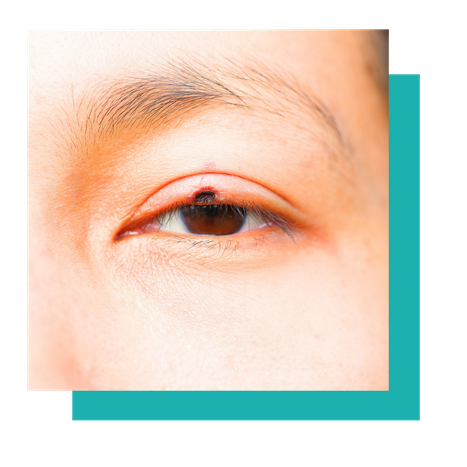 Untitled design (60).png