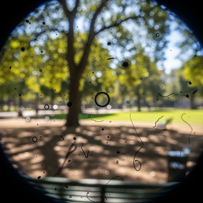 a person's vision with multiple dark, shadowy floaters obscuring a view of a park