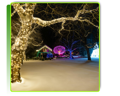 holiday lights2.png