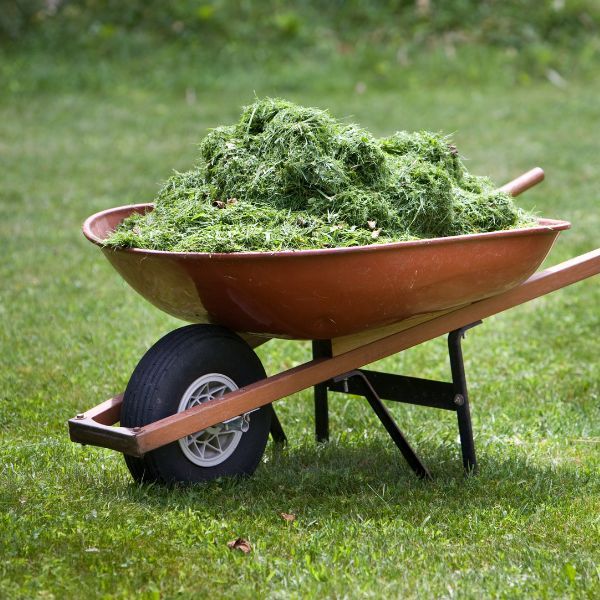 A wheel barrow full of lawn clippings