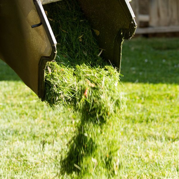 Grass clippings poured onto a yard