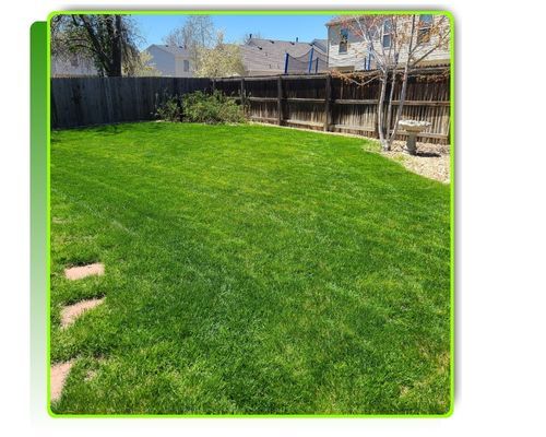 freshly cut back yard