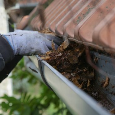 Gutter Cleaning