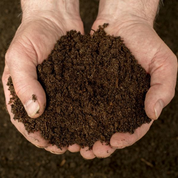 Hands grabbing soil