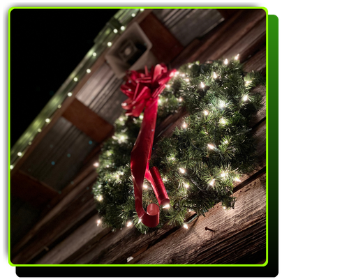 holiday lights1.png