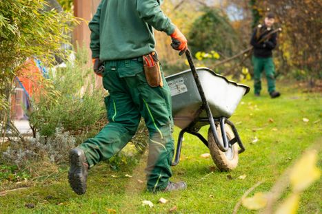 Landscaping Business 