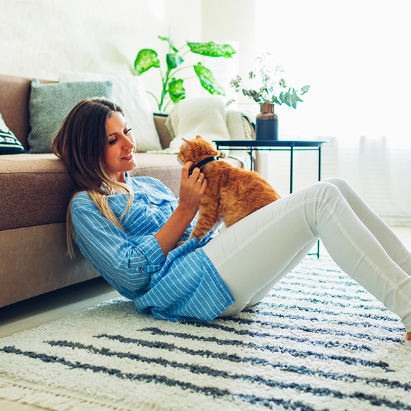 How Pets Can Impact Your HVAC System and What to Do About It BB Image 3.jpg