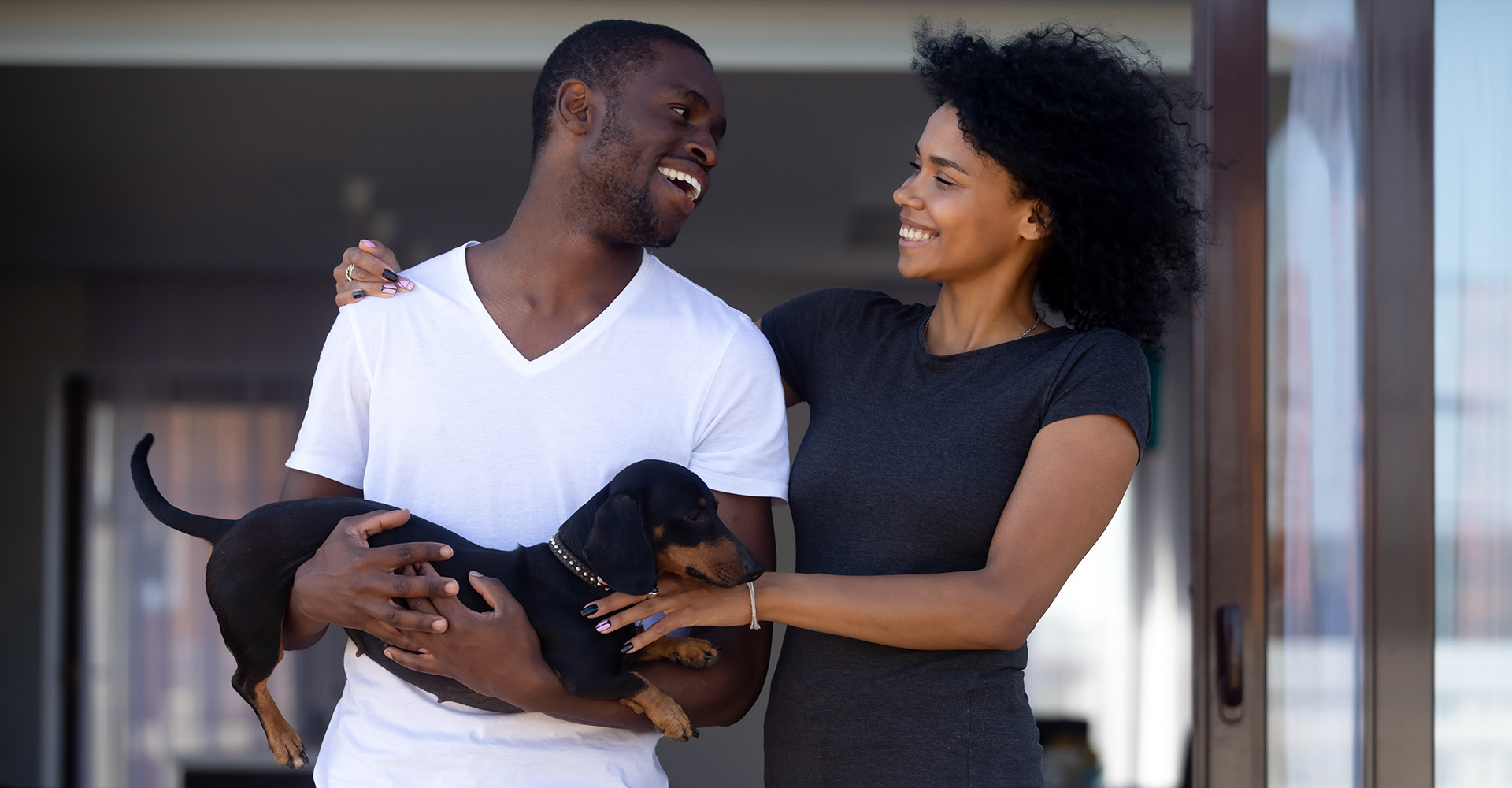 How Pets Can Impact Your HVAC System and What to Do About It BB Featured Image.jpg