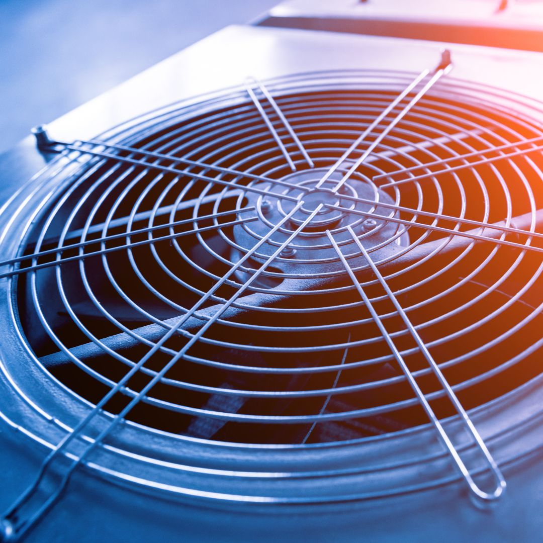 large fan