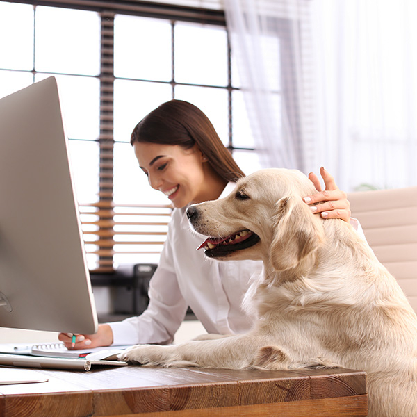 How Pets Can Impact Your HVAC System and What to Do About It BB Image 4.jpg