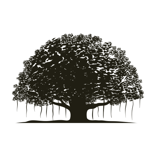 Favicon.png