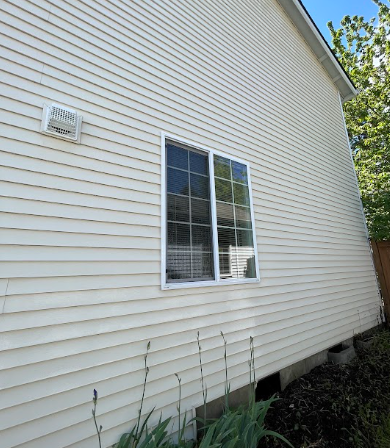 windowrow.png