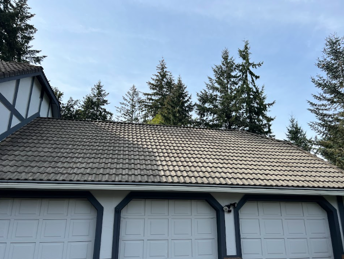 clean roof.png