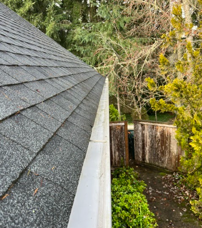 gutter cleaning.png