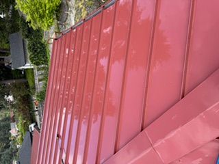 IMG_7856.jpeg